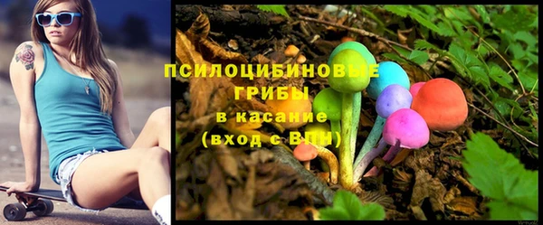 дживик Алексеевка