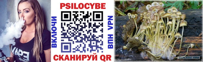 ссылка на мегу ТОР  Дудинка  Галлюциногенные грибы Psilocybine cubensis  где купить наркотик 